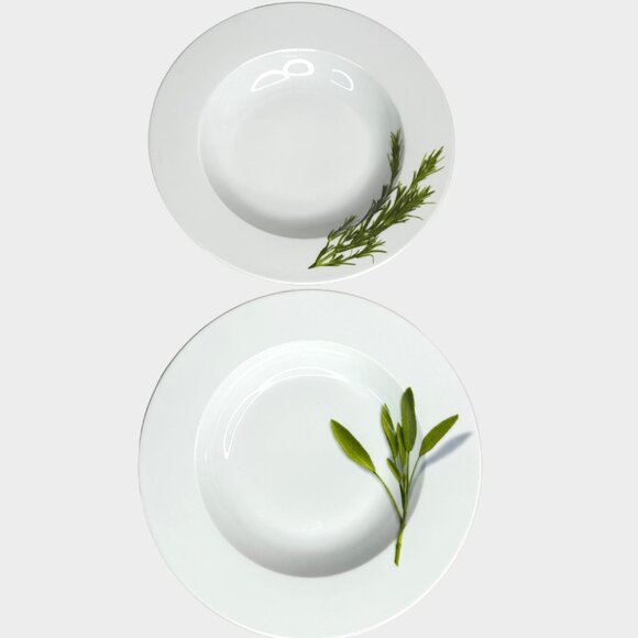 Set of 2 Crate & Barrel Herb Motif Dinner Plates - Picture 4 of 6